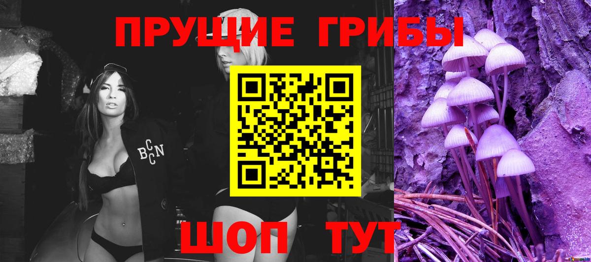 Галлюциногенные грибы прущие грибы  Вход с VPN  Ревда 